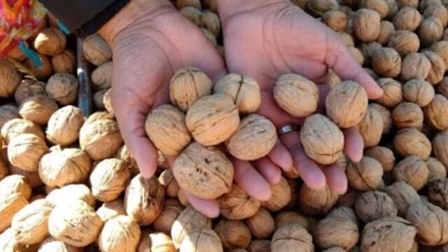 Robaron 10 bolsas de nueces y hay 8 detenidos en Tupungato.