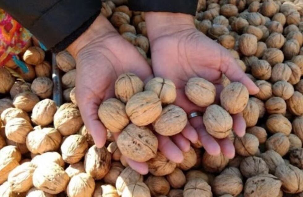 Hombres ardillas: robaron 10 bolsas de nueces y hay 8 detenidos