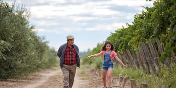 El audiovisual "Vendimia que despierta" se podrá ver esta noche por streaming, por Canal Acequia y por las redes sociales del departamento de Las Heras. Gentileza MLH
