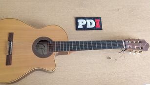 La guitarra recuperada