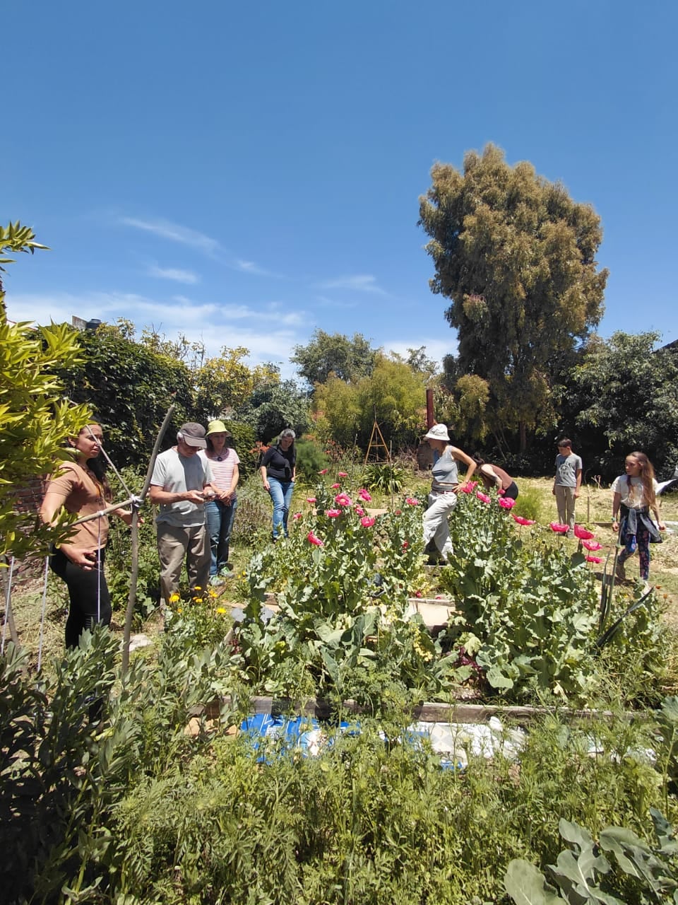 Noviembre, mes de la agroecología en Tres Arroyos