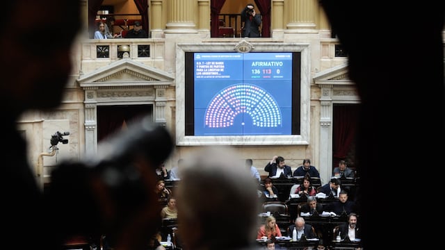 En la Cámara de Diputados se renuevan 127 bancas (Foto: Federico López Claro)