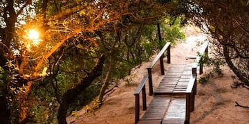 Playa entre bosques.