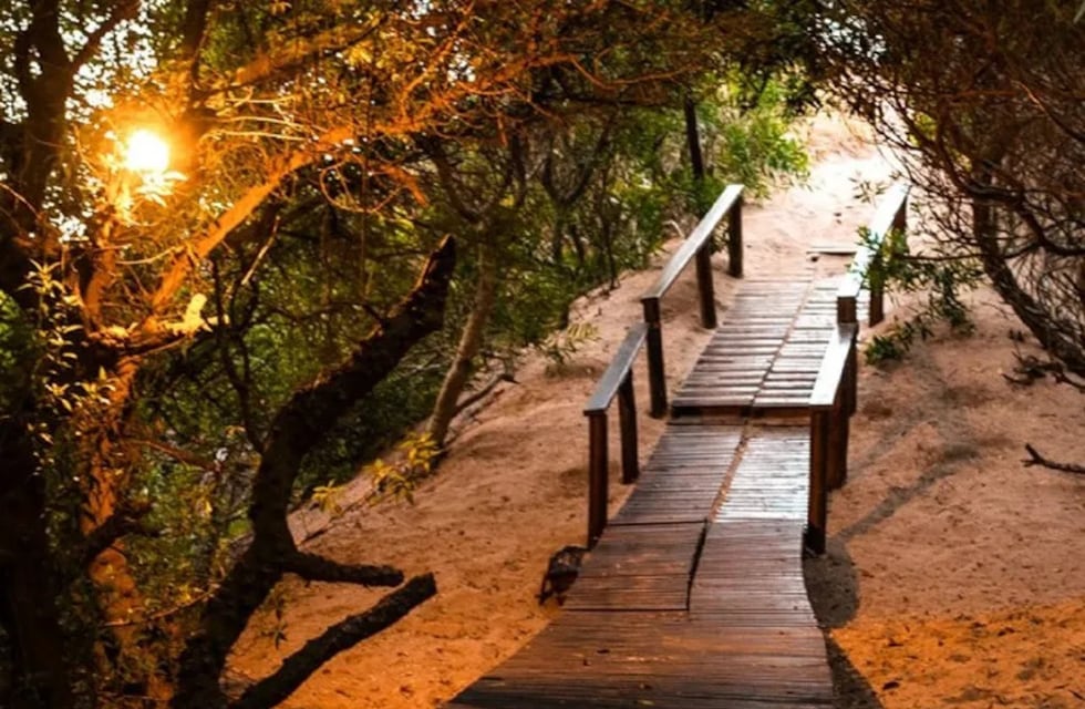 Ni Cariló ni Mar del Plata: la playa de Buenos Aires que está en medio de un bosque