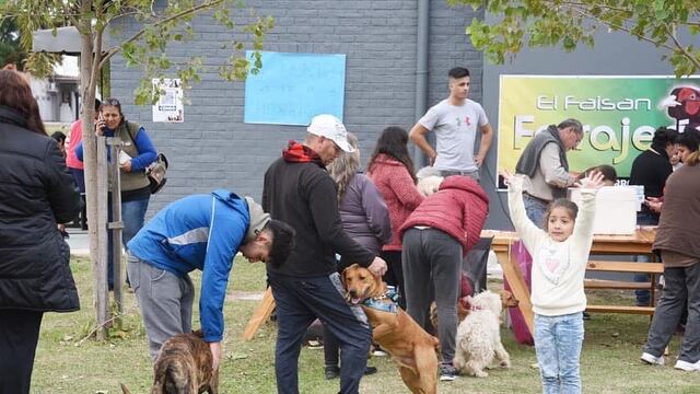 Centro de Zoonosis Arroyito