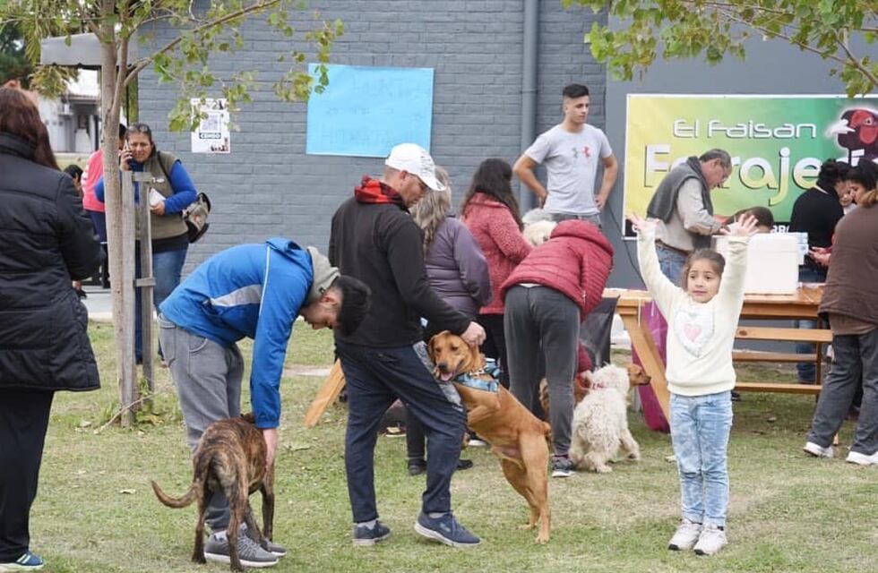 El Municipio de Arroyito lanza una Campaña de Vacunación Antirrábica Gratuita
