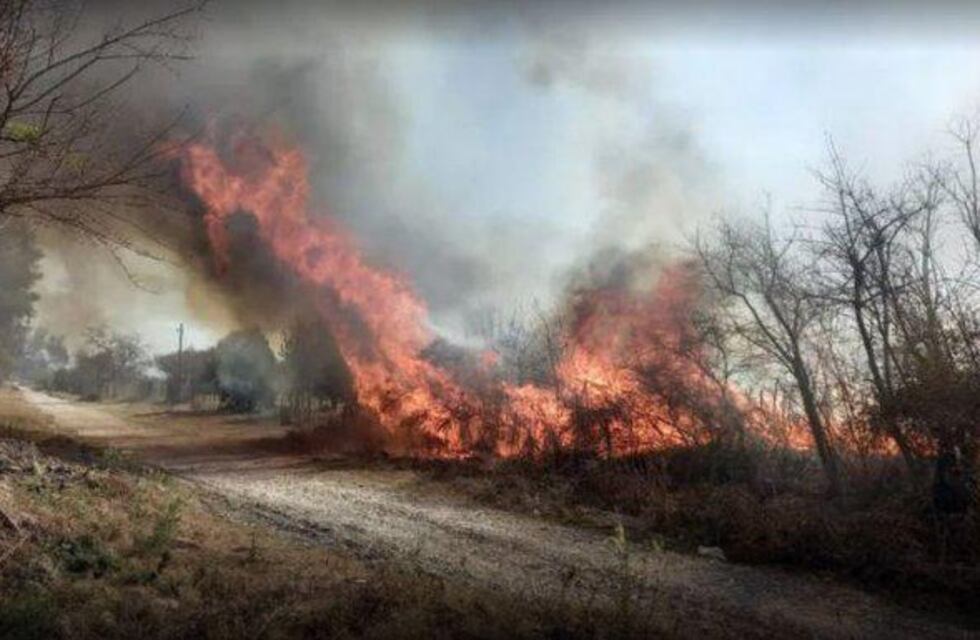 Video: los incendios en Salta no dan tregua y la lucha para combatirlos es cada vez más grande