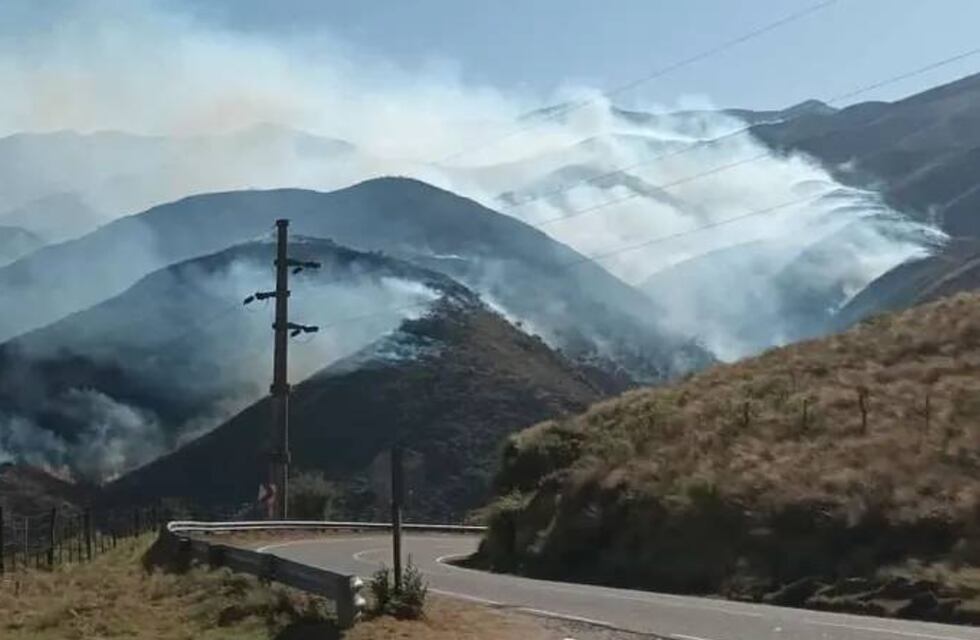 Por un incendio intencional, ya se destruyeron más de 700 hectáreas en la zona del Cerro Ambato