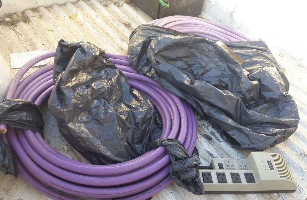 Inseguridad en Córdoba: robaban cables del Parque Sarmiento y fueron detenidos