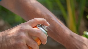 Dengue: uso de repelentes