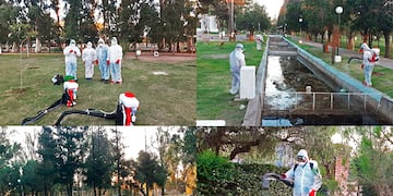 Para prevenir el dengue, se harán fumigaciones en los espacios verdes puntanos. / Gentileza ANSL