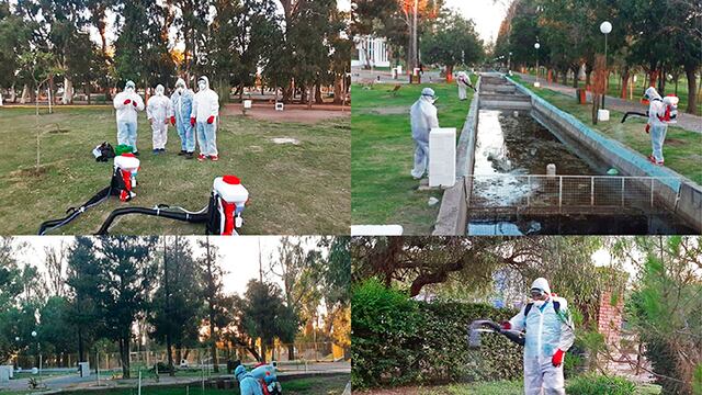 Para prevenir el dengue, se harán fumigaciones en los espacios verdes puntanos. / Gentileza ANSL