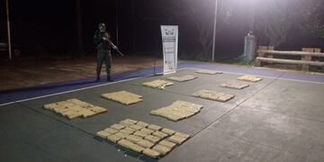 Incautan marihuana en Colonia Delicia.