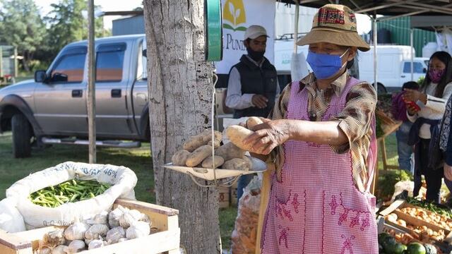 Sol Puntano reabrió al público con productos de calidad.