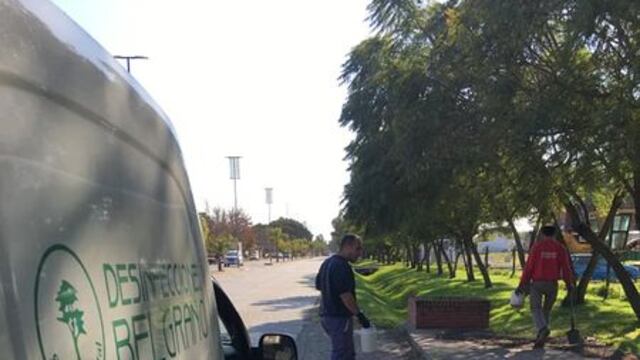 Soldini comenzó con operativos de desratización