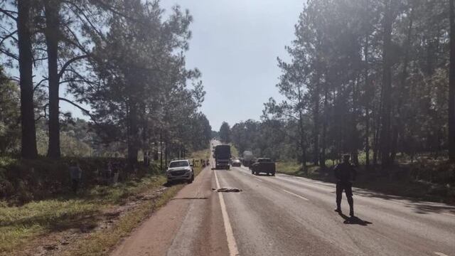 Perdió la vida tras ser arrollado por un camión sobre la ruta 12 en Eldorado.