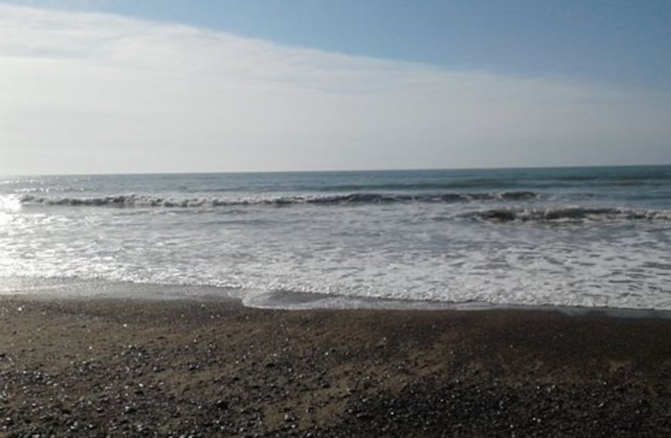 Chubut: turistas quedaron sorprendidos ante la presencia de una sirena en la costa