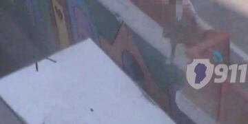 Un naranjita golpeó a otro y saltó desde un puente a un camión en movimiento.