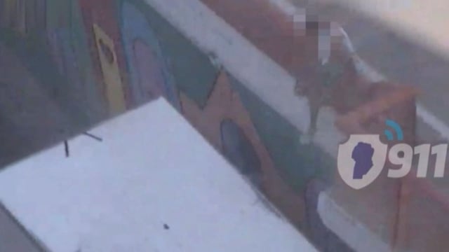 Un naranjita golpeó a otro y saltó desde un puente a un camión en movimiento.