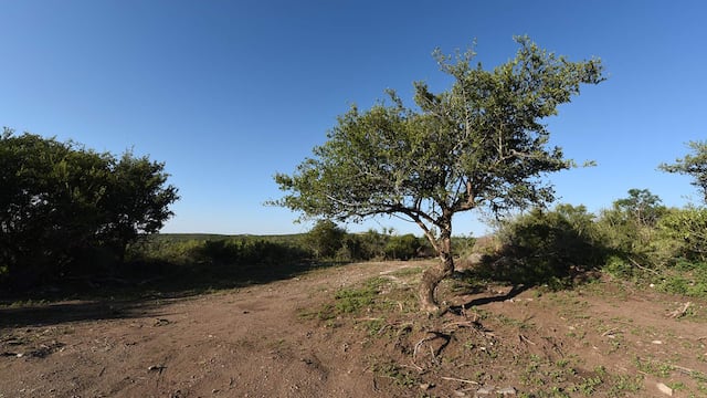 Alerta en La Falda, provincia de Córdoba, por la desaparición de un joven de 21 años. (La Voz/ Ilustrativa)