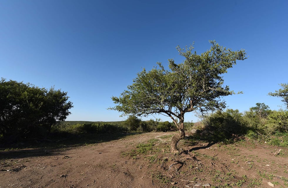Preocupación en Córdoba: buscan a un joven de 21 años desaparecido en La Falda