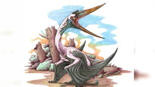 Descubrieron el reptil más antiguo de América del Sur.