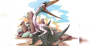 Descubrieron el reptil más antiguo de América del Sur.