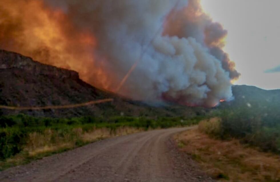 El Gobierno aseguró que los incendios en la Patagonia fueron intencionales