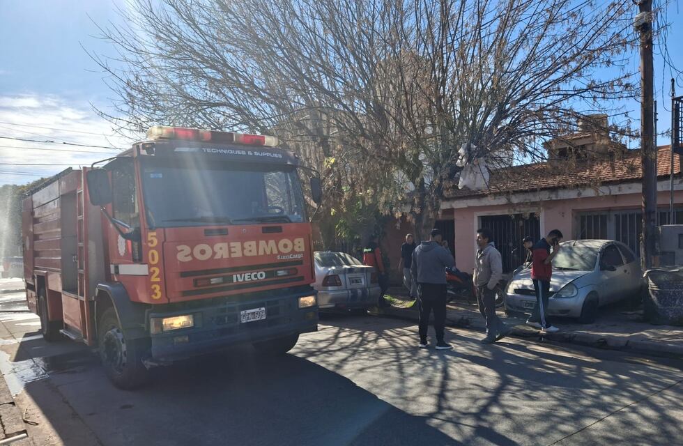 Emocionante: rescataron a un gato y lo revivieron con primeros auxilios en Córdoba