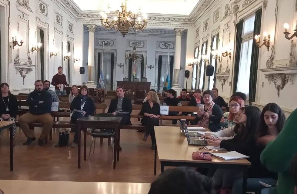 Concejo Deliberante Estudiantil de Tres Arroyos: Tres escuelas presentaron proyectos