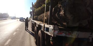 Guaraní: logran interceptar un camión con madera nativa. Policía de Misiones