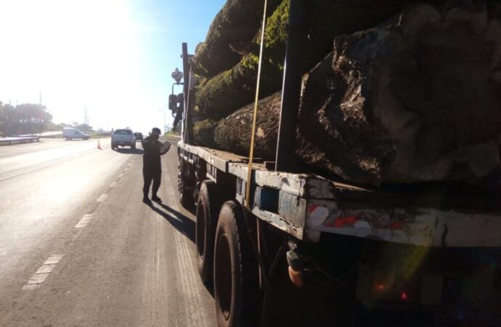 Guaraní: logran interceptar un camión con madera nativa