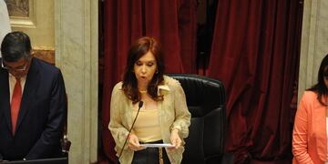 Cristina Kirchner tomó la jura de los 24 senadores electos en noviembre. (Foto: Federico López Claro)