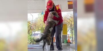 El divertido video de un perrito “tirándose unos pasos”en una estación de servicio de Mendoza que se volvió viral