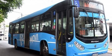 El Transporte Urbano de Pasajeros (TUP) cuenta con 645 unidades.