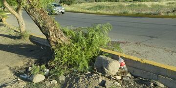 El lugar de la tragedia en la rotonda de El Challao (Foto: Orlando Pelichotti / Los Andes)