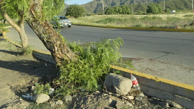 El lugar de la tragedia en la rotonda de El Challao (Foto: Orlando Pelichotti / Los Andes)