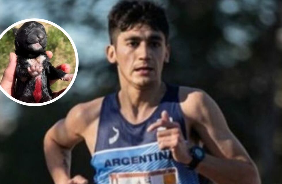 Un conocido atleta chubutense encontró abandonados a dos cachorros recién nacidos y lanzó un duro mensaje