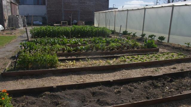 Así son las iniciativas en Tandil.