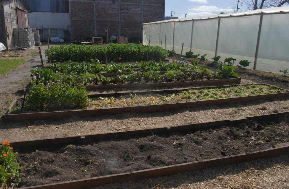 Continúa en Tandil el desarrollo de las huertas agroecológicas
