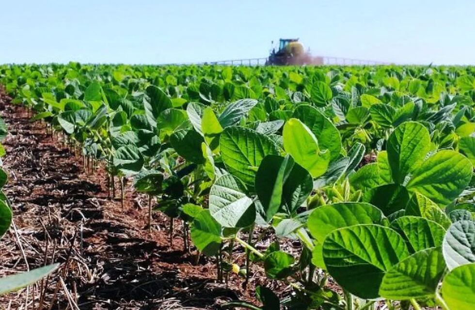 Soja sin vender y el nuevo dolar