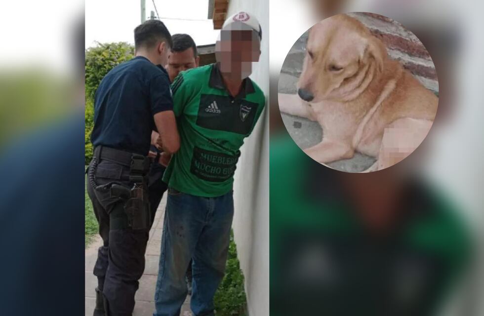 Corrientes: atacó a puñaladas a un perro y ahora una abogada tomó la causa para hacer justicia