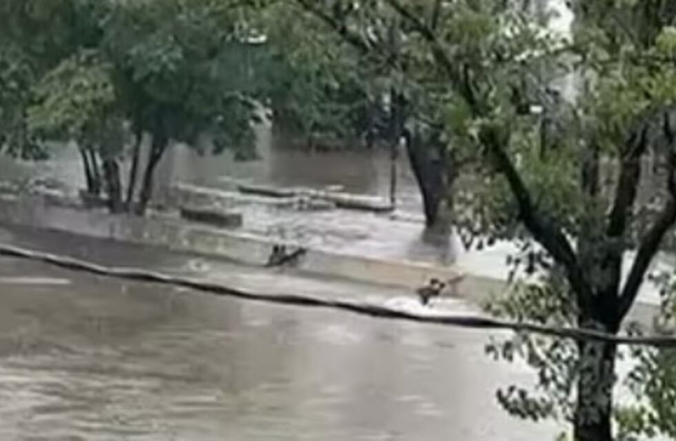Encontraron el cuerpo del joven que fue arrastrado por el agua en medio del temporal en León Suárez