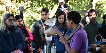 Técnicas para las variedades "la girgola", "melena de león" y el "reishi".