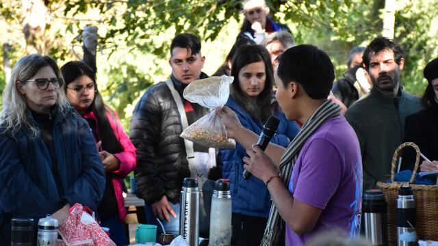 Técnicas para las variedades "la girgola", "melena de león" y el "reishi".