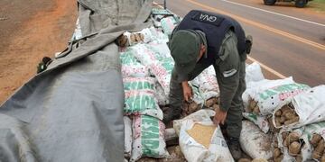 Incautan gran cargamento de soja ilegal en San Vicente.