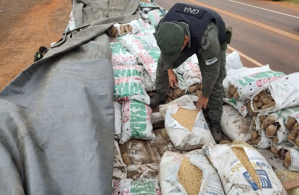Incautan gran cargamento de soja ilegal en San Vicente