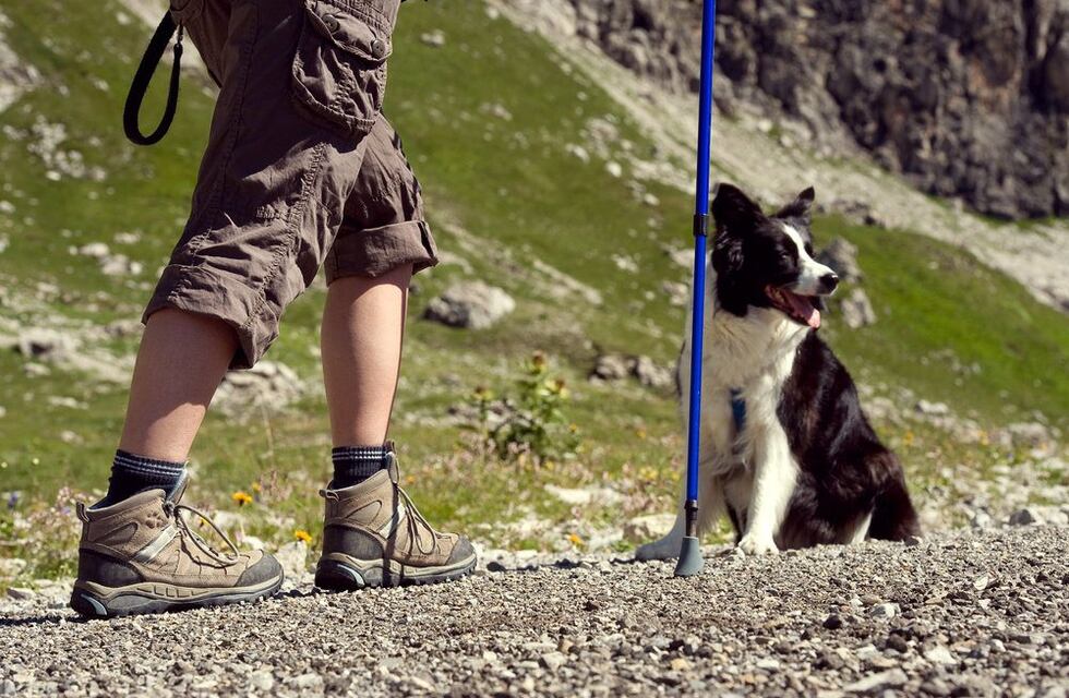 Se abren las inscripciones para programas estudiantiles de la coordinación provincial de educación física