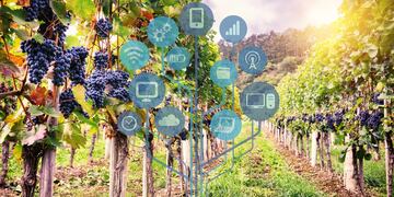 l software es una propuesta de Fecovita y cuenta con el financiamiento del BID.