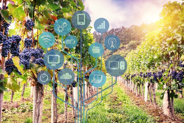 l software es una propuesta de Fecovita y cuenta con el financiamiento del BID.